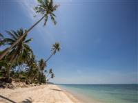 Thailand Retreats have put together a list of some of the best Koh Samui beach villas we recommend for a dream Koh Samui holiday
