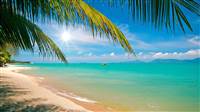 A List of some of the activities to do or places to visit in the beautiful island of Koh Phangan